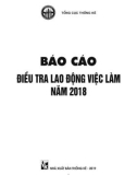 Báo cáo điều tra lao động việc làm năm 2018