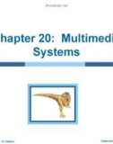 Lecture Operating system concepts: Chapter 20