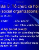 Bài giảng Nhập môn Xã hội học: Bài 5 - Nguyễn Xuân Nghĩa