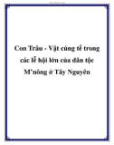 Con Trâu - Vật cúng tế trong các lễ hội lớn của dân tộc M'nông ở Tây Nguyên