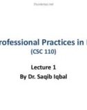 Lecture Professional Practices in IT: Lecture 1