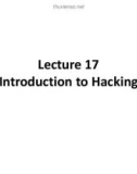 Lecture Professional Practices in IT: Lecture 17