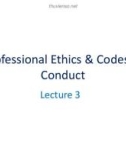 Lecture Professional Practices in IT: Lecture 3