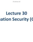 Lecture Professional Practices in IT: Lecture 30