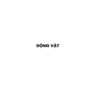 Khám phá tinh hoa văn học dân gian người Việt - Câu đố (Quyển 1): Phần 2