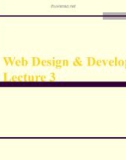 Lecture Web design and development: Lesson 3