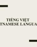 Bài giảng Tiếng Việt (Vietnamese language) - Chương 0: Mở đầu