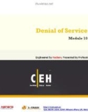 Module 10 - Denial of service