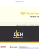 Module 14 - SQL Injection