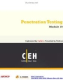 Module 19 - Penetration Testing