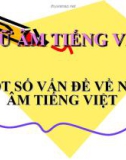 Bài giảng Ngữ âm tiếng Việt: Một số vấn đề về ngữ âm tiếng Việt