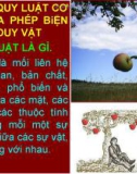 Bài giảng Những nguyên lý cơ bản của chủ nghĩa Mác-Lênin: Chương 2 (phần 2) - TS. Nguyễn Văn Ngọc