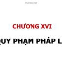 Bài giảng Lý luận nhà nước và pháp luật - Chương 16: Quy phạm pháp luật