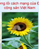 Bài giảng môn Đường lối cách mạng của Đảng cộng sản Việt Nam - Chương 1: Sự ra đời của Đảng Cộng sản Việt Nam và cương lĩnh chính trị đầu tiên