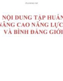 Bài giảng Nội dung tập huấn về nâng cao năng lực giới và bình đẳng giới