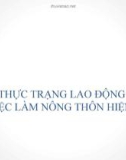 Bài giảng Thực trạng lao động và việc làm nông thôn hiện nay