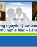 Những nguyên lý cơ bản của Chủ nghĩa Mác – Lênin