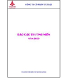 CÔNG TY CỔ PHẦN CÁT LỢI - BÁO CÁO THƯỜNG NIÊN NĂM 2009