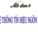 Bài giảng Ngữ dụng học: Hệ thống tín hiệu ngôn ngữ