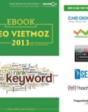 SEO VietMoz 2013