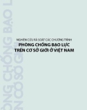 Nghiên cứu rà soát các chương trình phòng chống bạo lực trên cơ sở giới ở Việt Nam