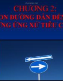 Bài giảng Tập huấn Tư vấn học đường: Chương 2 - Con đường dẫn đến những ứng xử tiêu cực