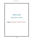 Tiểu luận môn Dịch vụ công: Cung ứng dịch vụ văn hóa ở Việt Nam