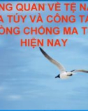 Bài giảng Tổng quan về tệ nạn ma túy và công tác phòng chống ma túy hiện nay