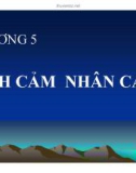 Bài giảng Tâm lý học: Chương 5 - TS. Trần Thanh Toàn