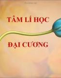 Bài giảng Tâm lý học đại cương: Phần 1