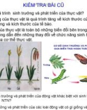 Bài giảng Sinh học 11 - Bài 37: Sinh trưởng và phát triển ở động vật (Võ Mộng Tuyền)