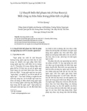 Lý thuyết biến thể phạm trù (X-bar theory): Một công cụ hữu hiệu trong phân tích cú pháp