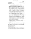 Ảnh hưởng của tôn giáo đối với đời sống gia đình trẻ vị thành niên ở Anh Quốc: Nghiên cứu quan điểm của giới trẻ và cha mẹ