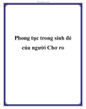 Phong tục trong sinh đẻ của người Chơ ro