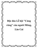 Độc đáo Lễ hội Cúng rừng của người Mông, Lào Cai