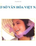 Bài giảng Cơ sở Văn hóa Việt Nam - Trần Ngọc Thêm