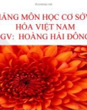 Bài giảng môn học Cơ sở văn hóa Việt Nam