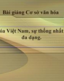 Bài giảng Cơ sở văn hóa Việt Nam: Văn hóa Việt Nam, sự thống nhất trong đa dạng