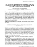 Mối quan hệ giữa danh tiếng trường đại học, tính cách thương hiệu, gắn kết thương hiệu và lòng trung thành của sinh viên tại thành phố Hồ Chí Minh