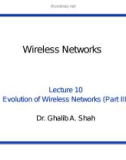 Wireless networks - Lecture 10: Evolution of wireless networks (Part 3)