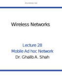 Wireless networks - Lecture 28: Mobile Ad-hoc network