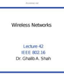 Wireless networks - Lecture 42: IEEE 802.16