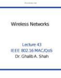 Wireless networks - Lecture 43: IEEE 802.16 MAC/QoS