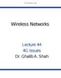 Wireless networks - Lecture 44: 4G issues