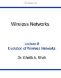 Wireless networks - Lecture 8: Evolution of wireless networks (Part 1)