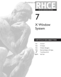 X Window System