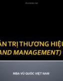 Bài giảng Quản trị thương hiệu (Brand management) - MBA Vũ Quốc Việt Nam