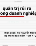 Bài giảng Quản trị rủi ro trong doanh nghiệp: Chương 1 - TS. Nguyễn Hải Đường