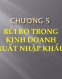 Bài giảng môn Quản trị rủi ro: Chương 5 - ĐH Công nghiệp TP. HCM