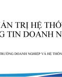 Bài giảng Quản trị hệ thống thông tin doanh nghiệp - Chương 3: Môi trường doanh nghiệp và hệ thống thông tin